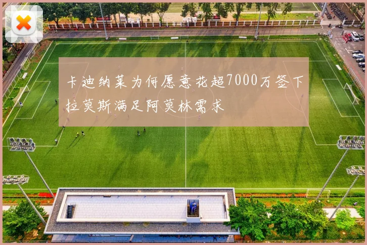 卡迪纳莱为何愿意花超7000万签下拉莫斯满足阿莫林需求