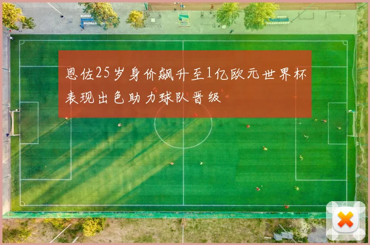 恩佐25岁身价飙升至1亿欧元世界杯表现出色助力球队晋级
