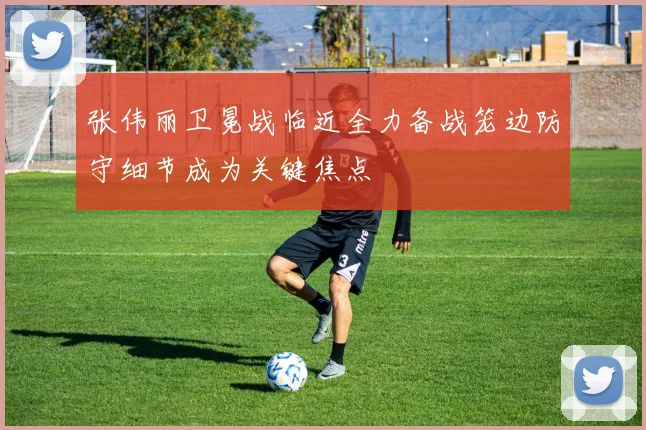 张伟丽卫冕战临近全力备战笼边防守细节成为关键焦点